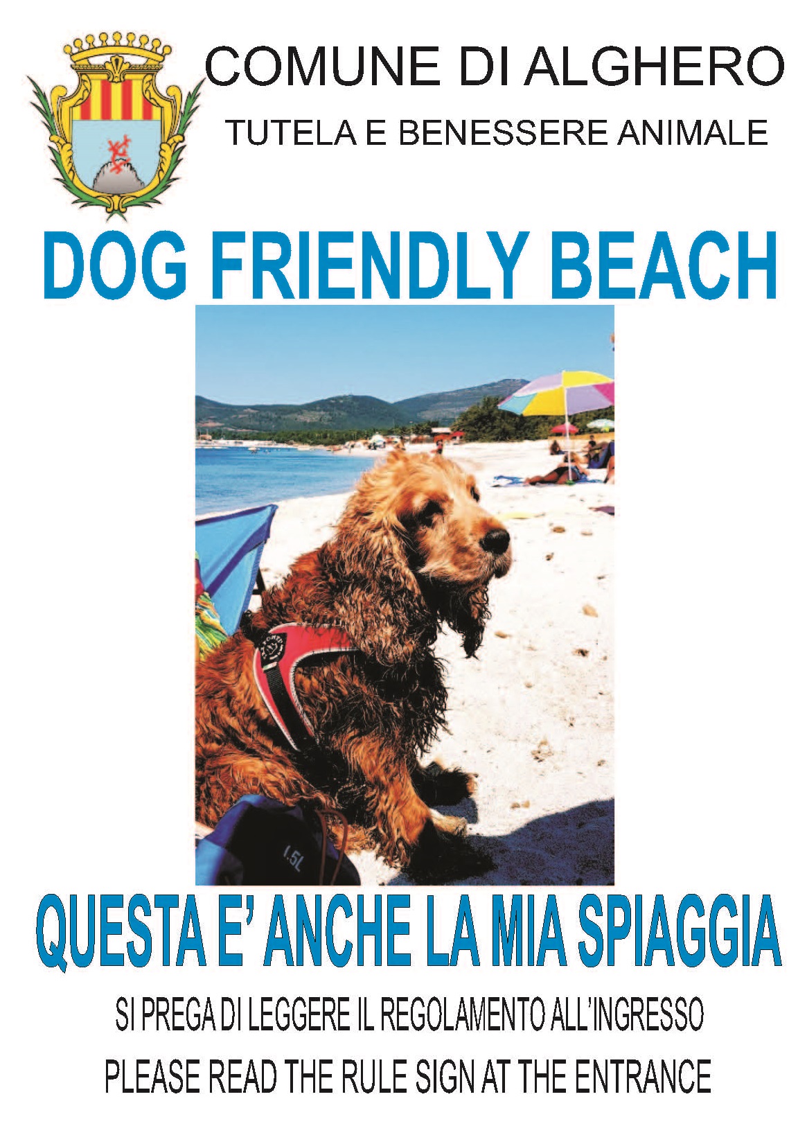 Dog_Friendly_Beach_Giotto